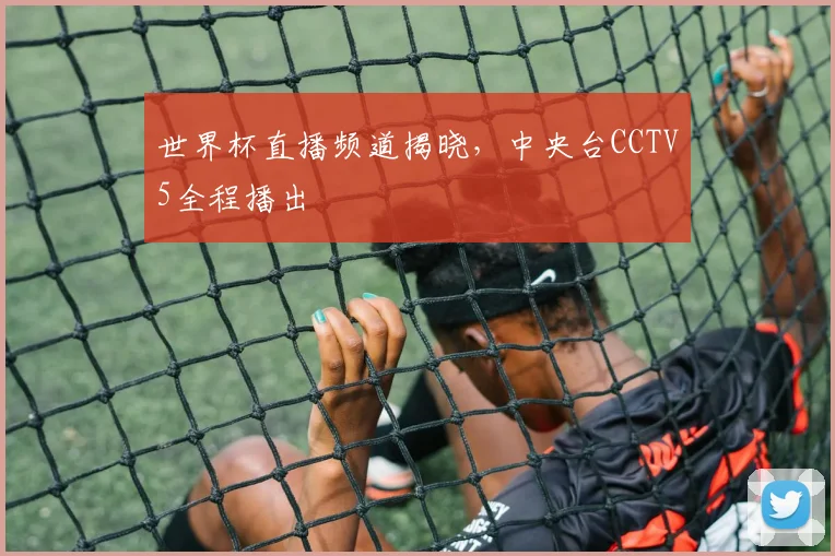 世界杯直播频道揭晓,中央台CCTV5全程播出