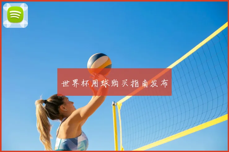 世界杯用球购买指南发布